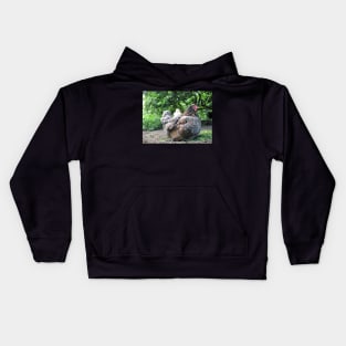 Baby on board - Hen and Chick Kids Hoodie